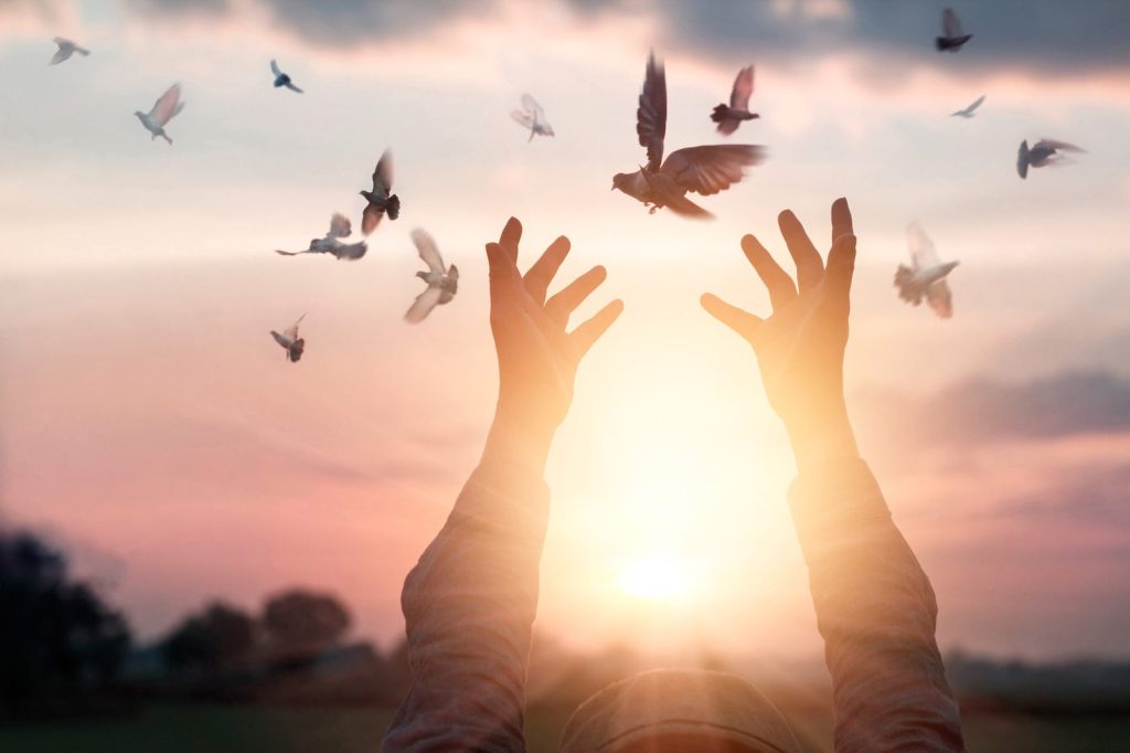 woman-praying-and-free-bird-enjoying-nature-on-sunset-background-hope-concept-scaled